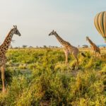 Samburu National Reserve