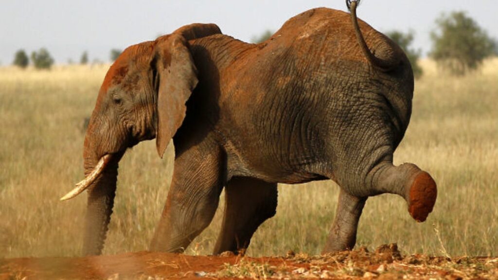 Lake Manyara National Park