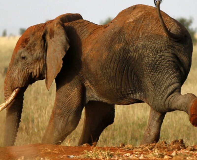 Lake Manyara National Park