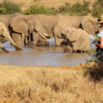 Lake Nakuru National Park