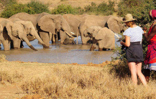 Lake Nakuru National Park