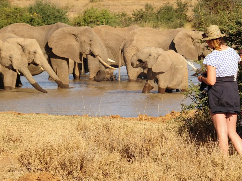 Lake Nakuru National Park