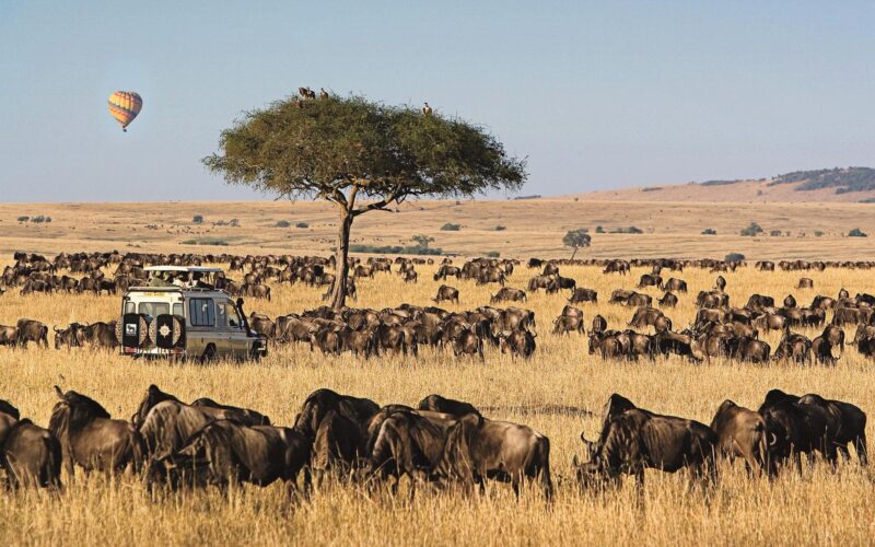 Serengeti National Park Holiday Safari