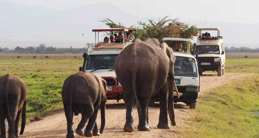 Best African Tanzania Safari