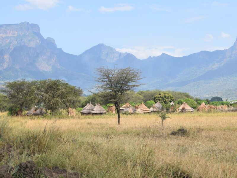 Kilimanjaro Tanzania Safari Tour