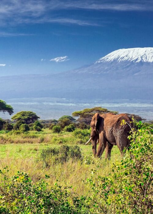 Mount Kilimanjaro National Park