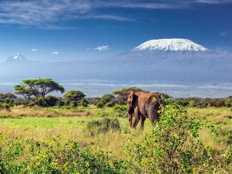 Mount Kilimanjaro National Park