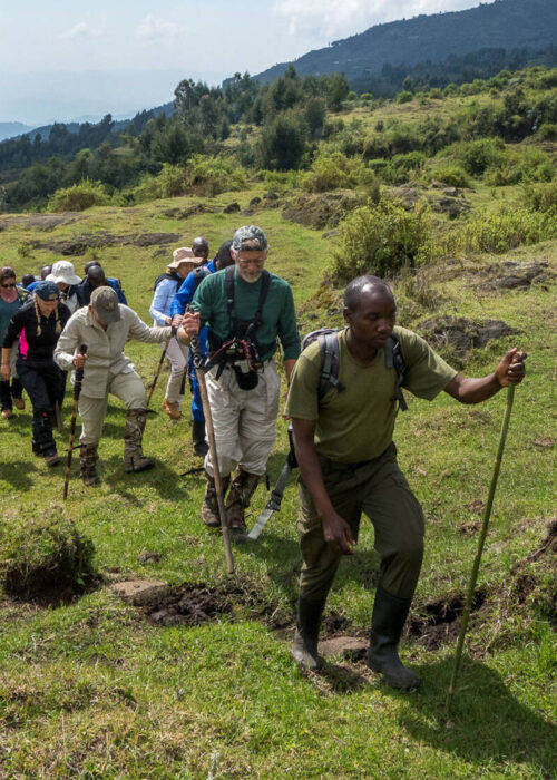 Rwenzori Mountains National Park