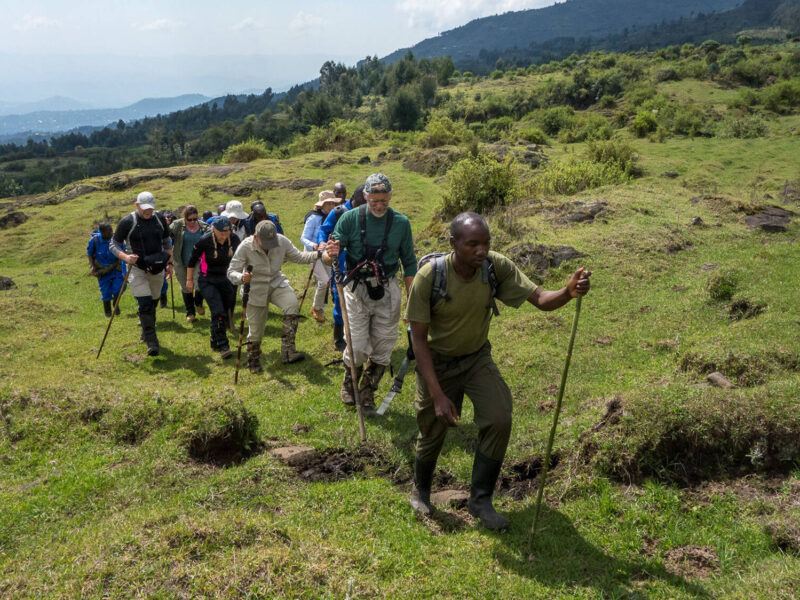 Rwenzori Mountains National Park